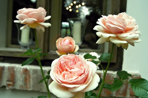 DSC04250a.JPG