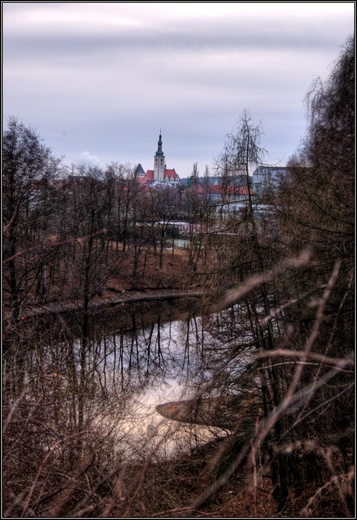 DSC06479-1024-R.jpg