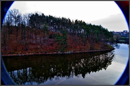 DSC06502-1024-R.jpg