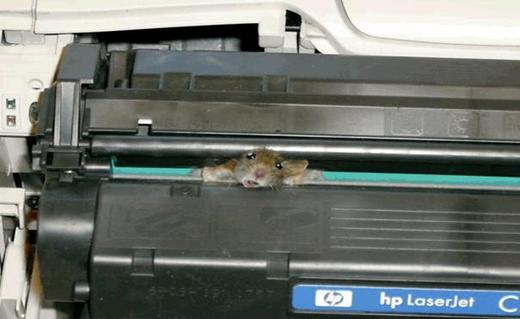 myš a tiskárna